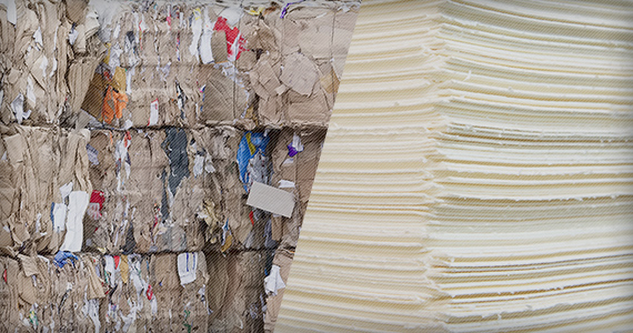 Paper Manufacturing Materials <br>(Pulp, Recovered Paper) Business