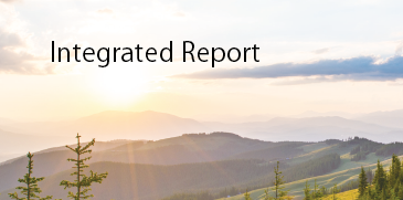 Integrated Report