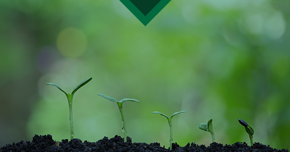 Sustainability