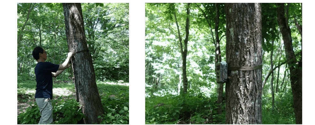 カメラを設置している様子