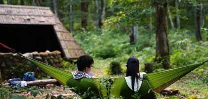 森で笑顔を取り戻す旅