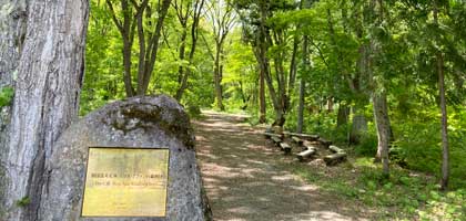 第1回 アファンの森ってなに？