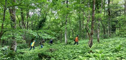 森の学びの振り返り 1