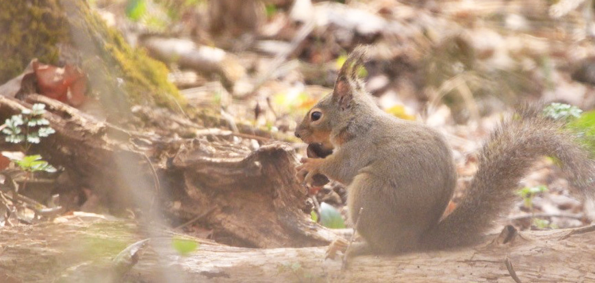 未来をつくる管理作業 1