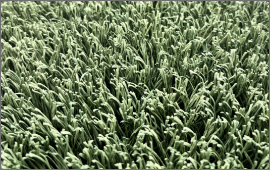 屋外向け紙製人工芝「ペーパーターフⓇ」２種を開発しました