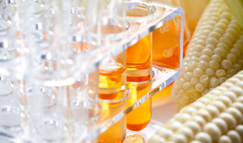 Bioplastics – Related products 