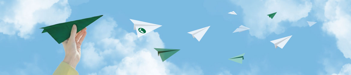 What is Kokusai Pulp & Paper Co., Ltd.?