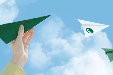 What is Kokusai Pulp & Paper Co., Ltd.?