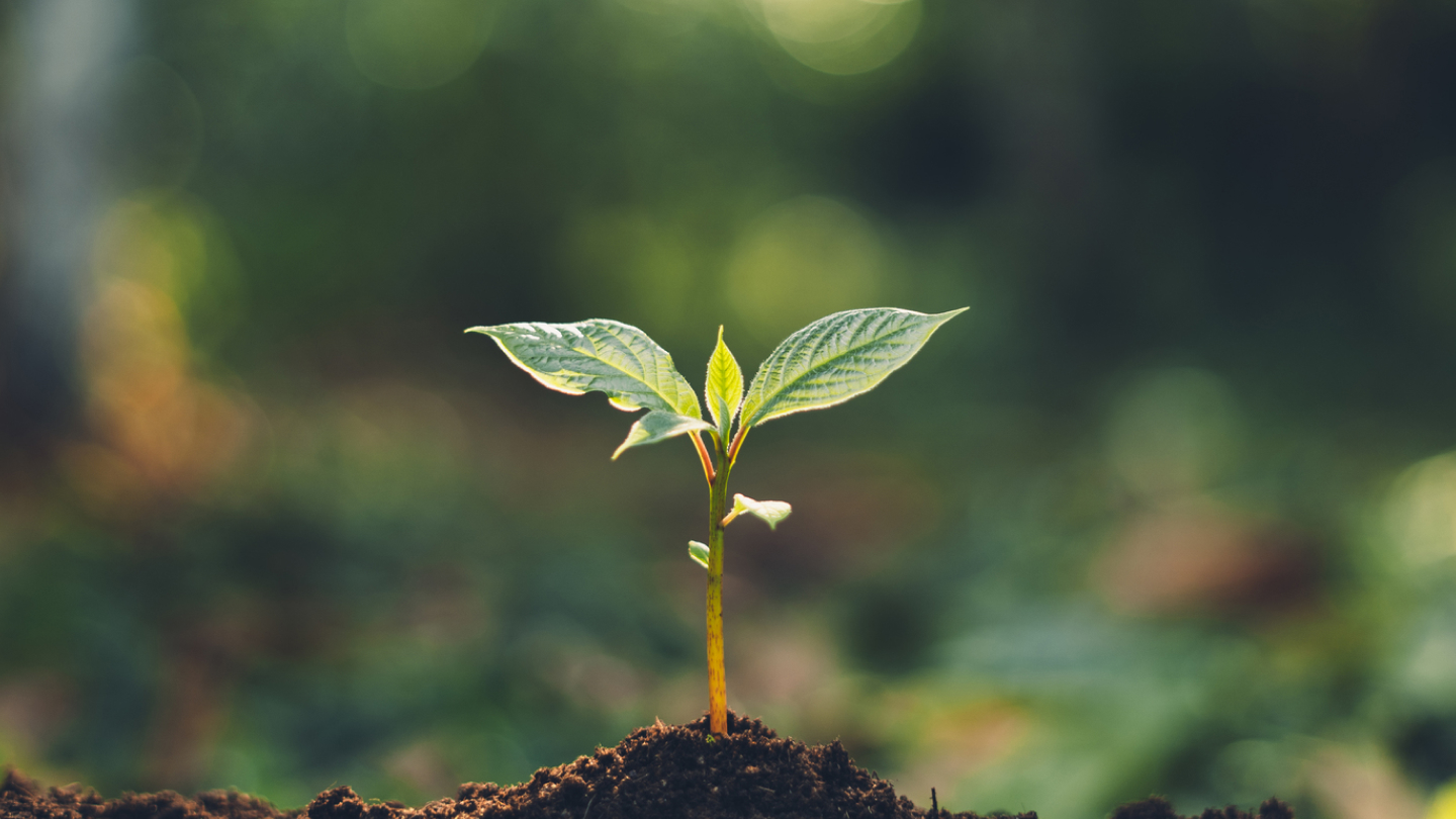 環境配慮商品​