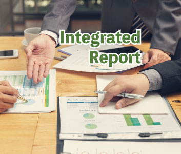 統合報告書