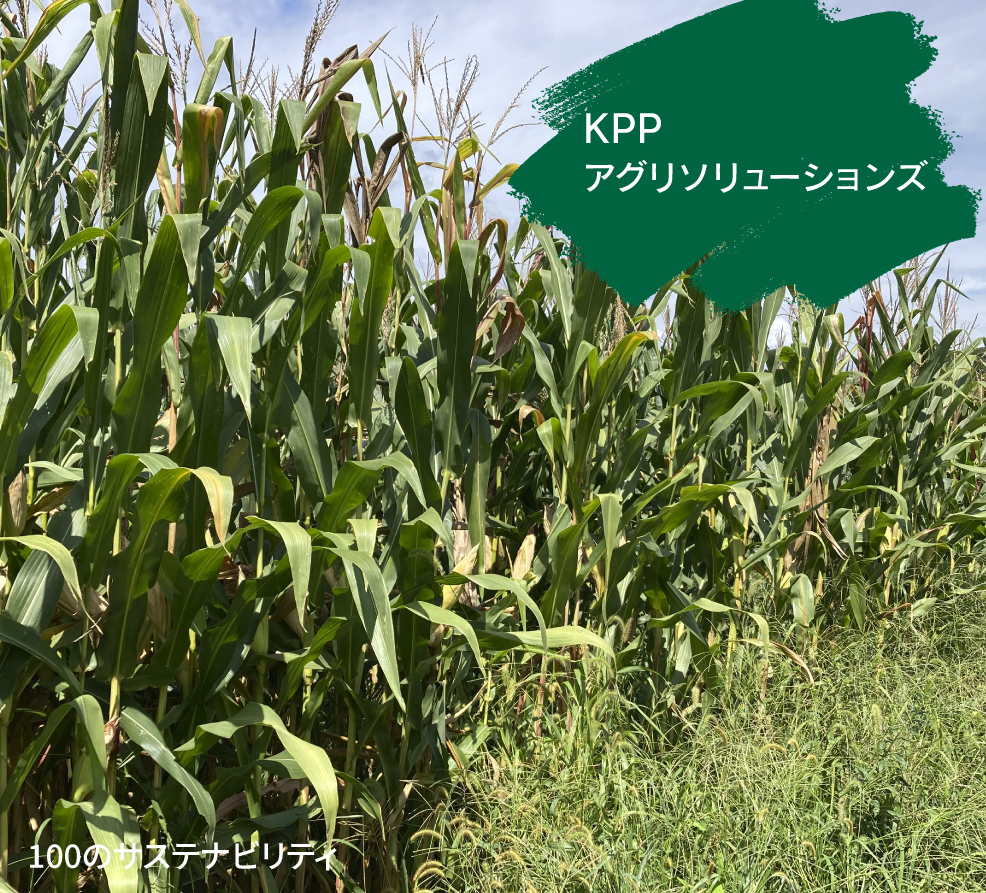 KPPアグリソリューションズ（A.M）