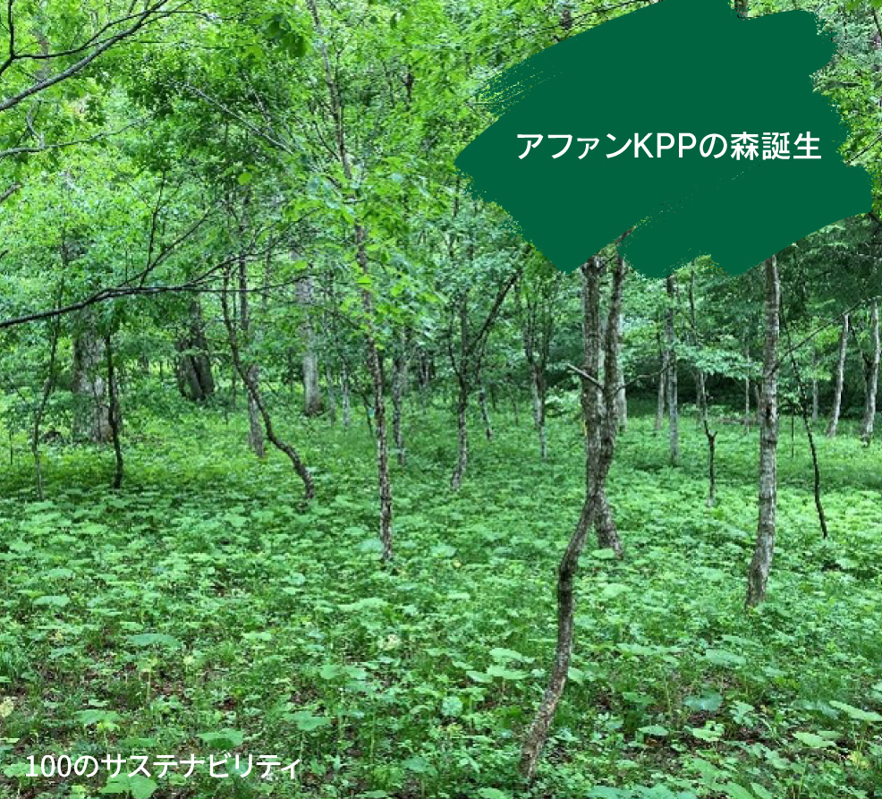 アファンKPPの森誕生（KPP コーポレートコミュニケーション担当）